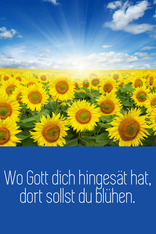 Schöne Glückwünsche für verschiedene Anlässe