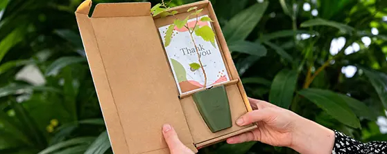 Nachhaltige Geschenke auswählen, ohne auf Persönlichkeit zu verzichten