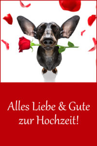 Hochzeitswünsche Sprüche und Glückwünsche zur Hochzeit